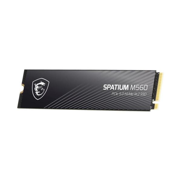 【MSI 微星】SPATIUM M560 1TB M.2 PCIe (Gen5/讀:10200M/寫:8400M/TLC/五年保) 