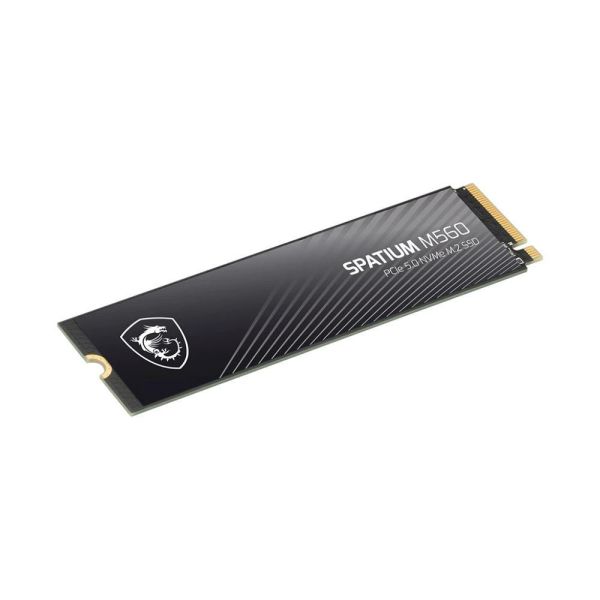 【MSI 微星】SPATIUM M560 1TB M.2 PCIe (Gen5/讀:10200M/寫:8400M/TLC/五年保) 