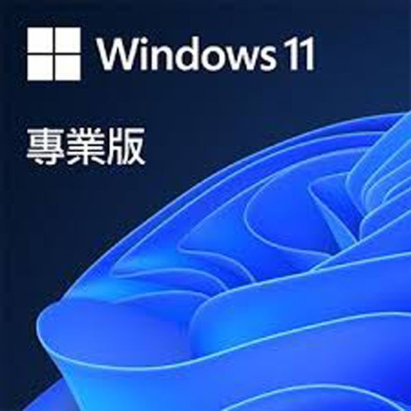 【Microsoft 微軟】Windows 11 專業隨機版｜原廠授權｜商務安全首選系統 