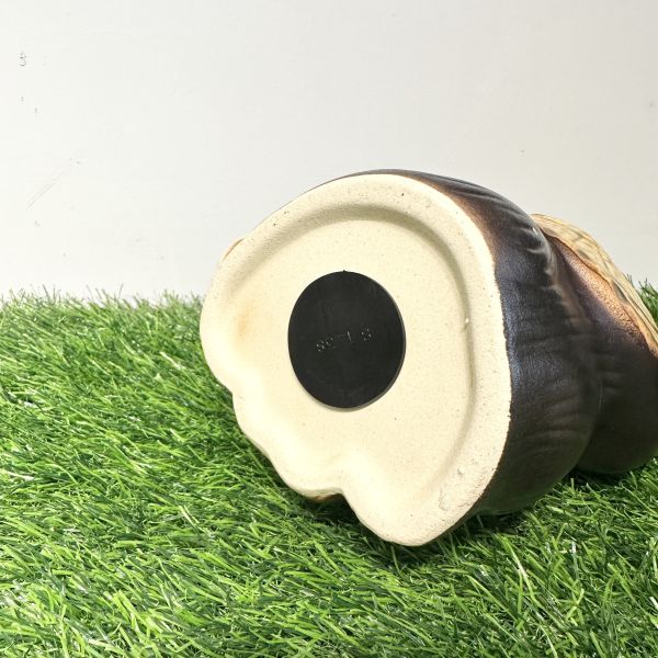 日本製/ 信樂燒舉手招財狸貓16cm 