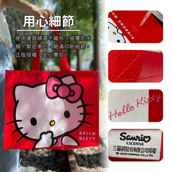 【黑店9481】正版授權三麗鷗可愛環保不織布購物袋六入組 