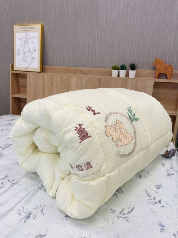 【黑店9481】專櫃五星級防蜹抗菌生薑石墨烯發熱被2.5kg 