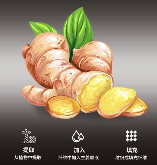 【黑店9481】專櫃五星級防蜹抗菌生薑石墨烯發熱被2.5kg 
