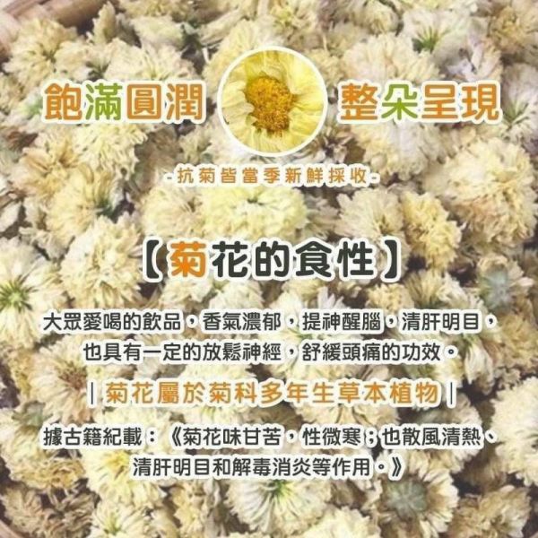 台灣苗栗小農杭菊枸杞決明子茶50包 