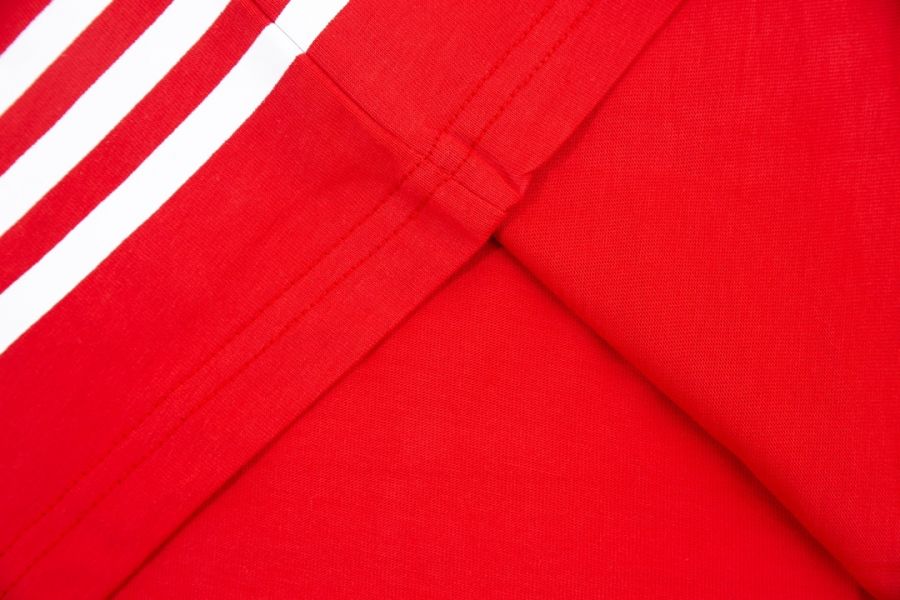 Adidas x Gucci 「adidas Theatrum Catoptricum Polydicticum Gucci」印花(紅) 