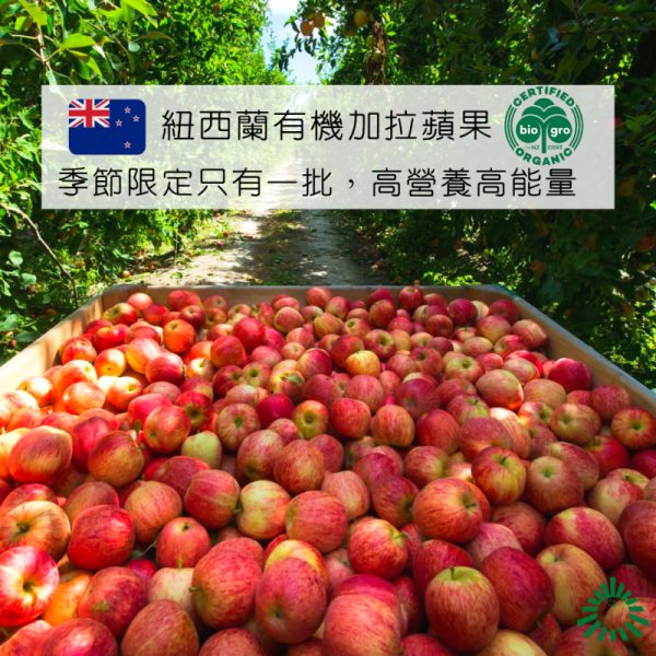 (冷藏)Sun Organic/紐西蘭有機加拉蘋果/795g±5%/5粒 有機蘋果,紐西蘭,加拉蘋果,帶皮吃,不上蠟