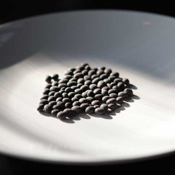 上下游/有機本土青仁黑豆茶/15g*10入 上下游,非基改,有機,黑豆,黑豆茶