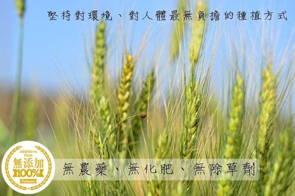 上下游/台灣小麥雞絲麵/55g*5入+冬菜包40g 上下游,冬菜雞絲麵,鴨蛋,冬菜,雞絲麵,本土小麥