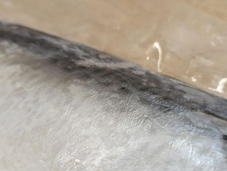 【冷凍】雀莉家/日式塩麴台灣花腹鯖菲力/120g±10g 台灣,花腹鯖,塩麴