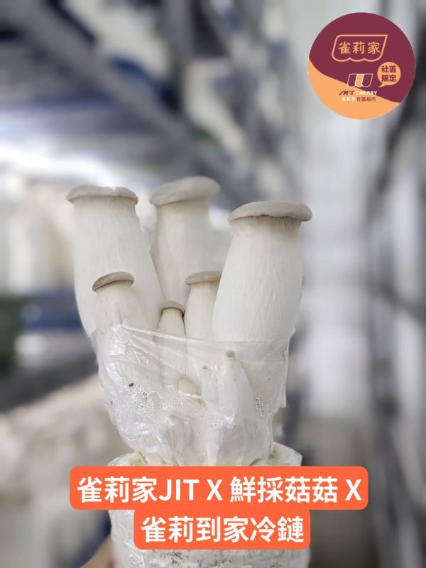 (冷藏)萬生/有機完株杏鮑菇456/456g 萬生,雀莉到家,宅配,全程冷鏈,有機認證,杏鮑菇