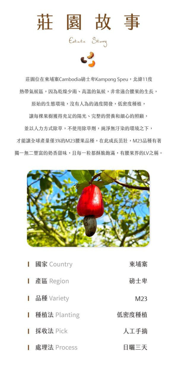 清淨生活/單一莊園麻辣腰果/120g±4.5% 清淨生活,麻辣,腰果