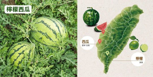(冷藏)OJUICE/冷壓鮮榨西瓜檸檬綜合果汁/870ml OJUICE,西瓜,檸檬,維生素C,膳食纖維