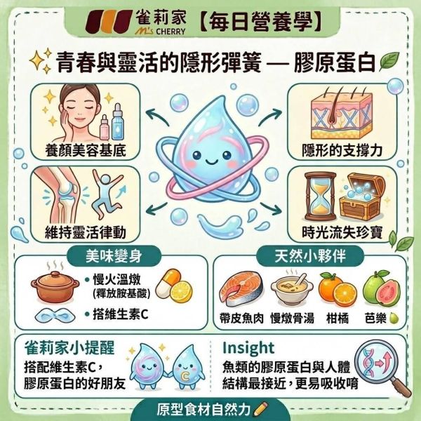 膠原蛋白 膠原蛋白