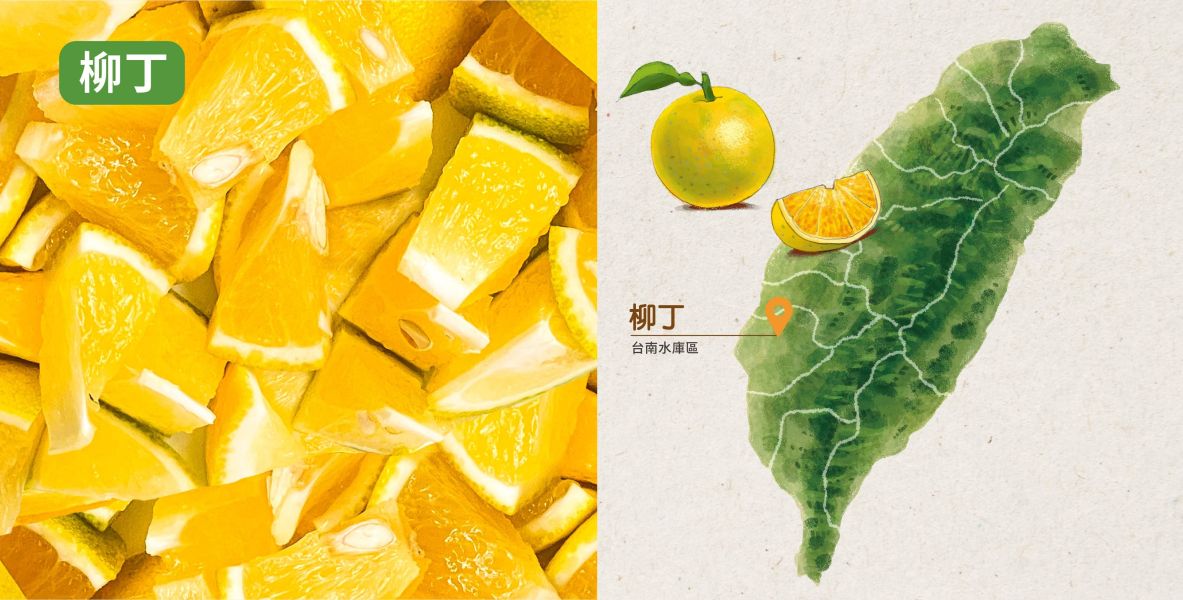 (冷藏)OJUICE/冷壓鮮榨台灣柳丁汁/300ml OJUICE,柳丁,雀莉到家