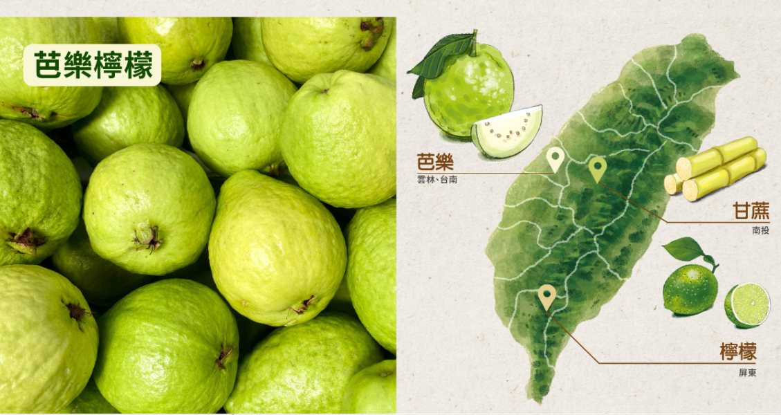 (冷藏)OJUICE/冷壓鮮榨芭樂檸檬汁/300ml OJUICE,芭樂,檸檬,維生素C