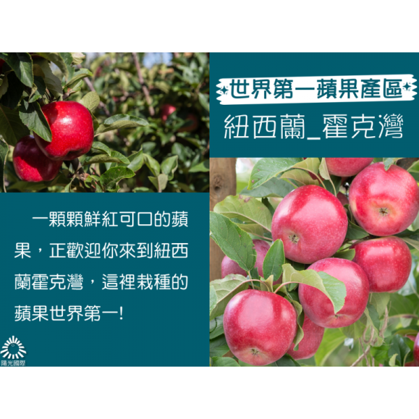 (冷藏)Sun Organic/紐西蘭有機DAZZLE炫麗蘋果/850g±5%/5粒 有機蘋果,紐西蘭,帶皮吃,不上蠟,DAZZLE,炫麗