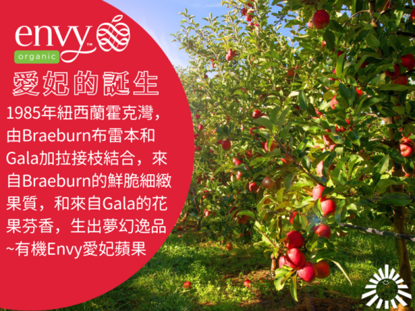 (冷藏)Sun Organic/美國有機Envy愛妃蘋果/796g±5%/5粒 有機蘋果,美國愛妃,帶皮吃,不上蠟,Envy