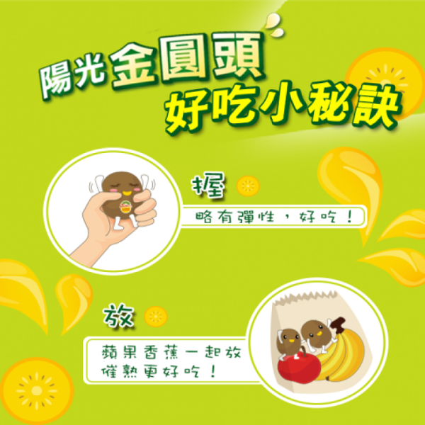 (冷藏)Sun Organic/紐西蘭有機陽光金圓頭奇異果/540g±5%/5粒 有機,紐西蘭,帶皮吃,黃金奇異果,Zespri