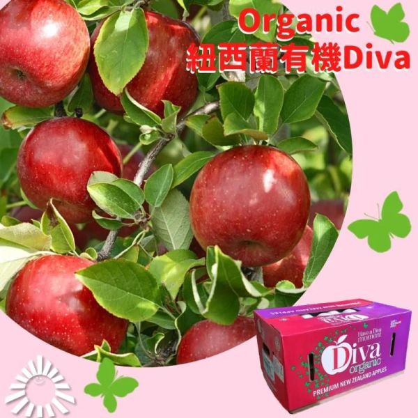 (冷藏)Sun Organic/紐西蘭有機DIVA天后蘋果/795g±5%/5粒 有機蘋果,紐西蘭,帶皮吃,不上蠟,天后,DIVA