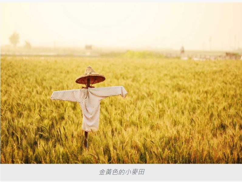 上下游/小麥練習曲─全麥鬆餅DIY/206g 上下游,鍋燒意麵,鴨蛋,本土小麥,台灣小麥