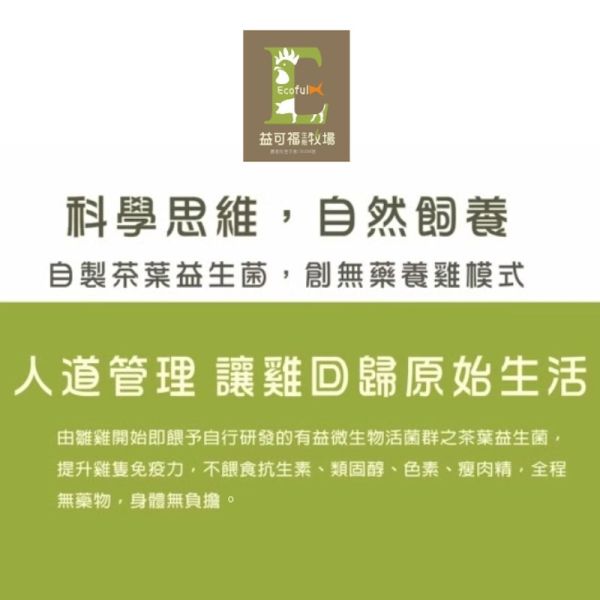 益可福/茶葉益菌雞肉鬆(海苔)/150g±5g 益可福,國寶雞,肉鬆,無豆粉
