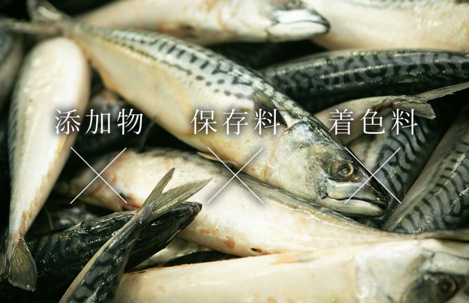 【冷凍】日本飯田商店/(去骨級)無鹽鯖魚菲力/2片/250g 日本,飯田商店,無塩,去骨,鯖魚