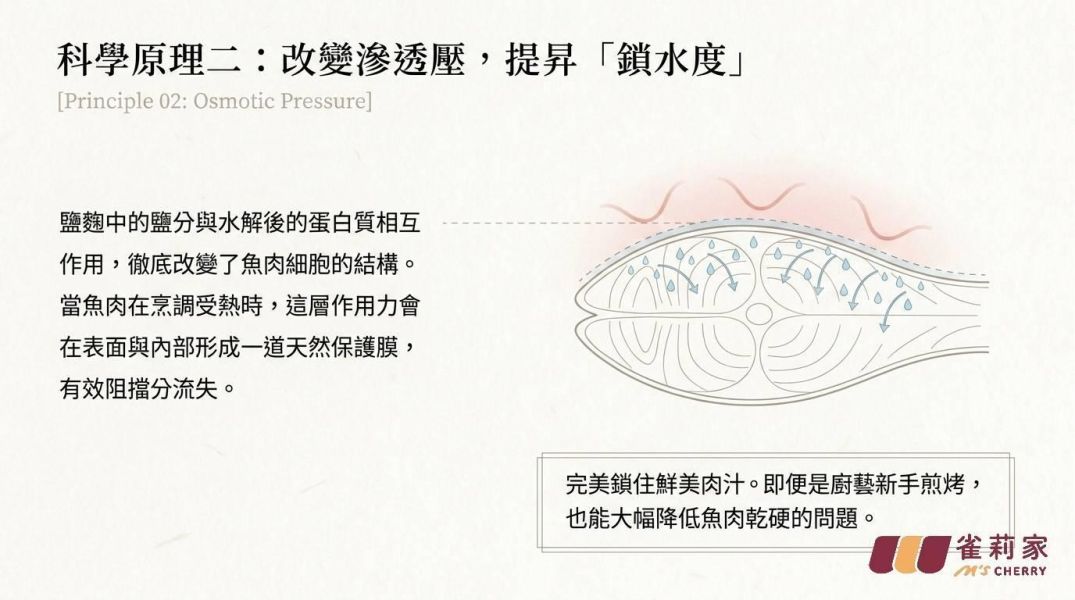 【冷凍】雀莉家/日式塩麴台灣花腹鯖菲力/120g±10g 台灣,花腹鯖,塩麴