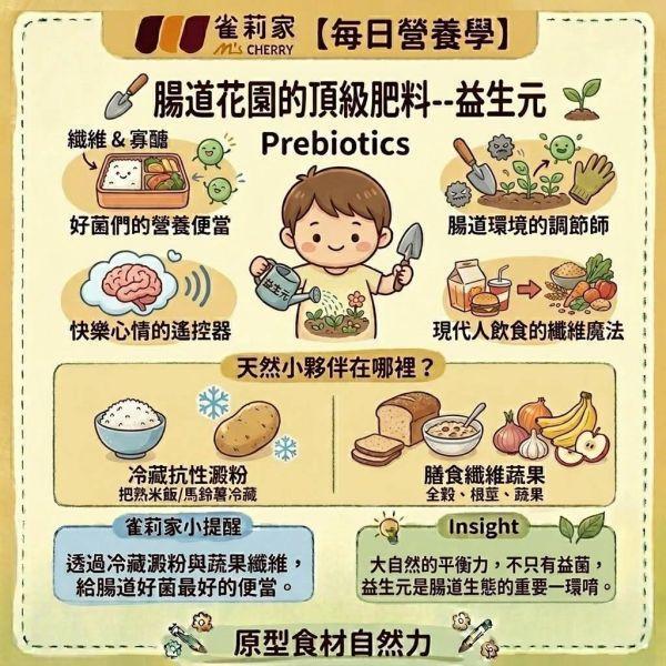 膠原蛋白 膠原蛋白