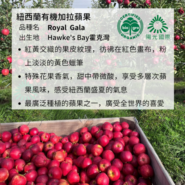 (冷藏)Sun Organic/紐西蘭有機加拉蘋果/795g±5%/5粒 有機蘋果,紐西蘭,加拉蘋果,帶皮吃,不上蠟