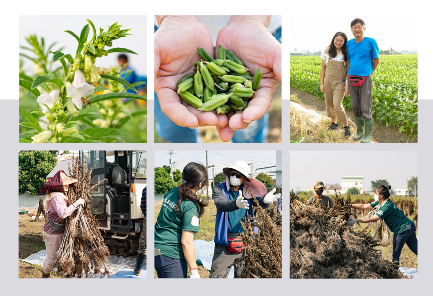 金弘/職人工藝/冷壓台灣純胡麻油(玻璃瓶)/台灣芝麻/300ml 金弘,台灣芝麻,胡麻油