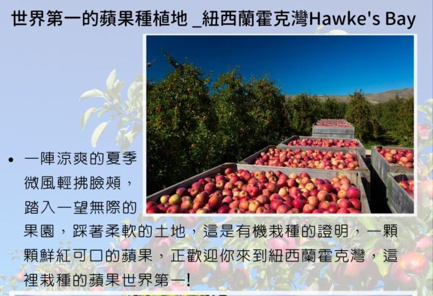 (冷藏)Sun Organic/紐西蘭有機加拉蘋果/729g±5%/5粒 有機蘋果,紐西蘭,加拉蘋果,帶皮吃,不上蠟