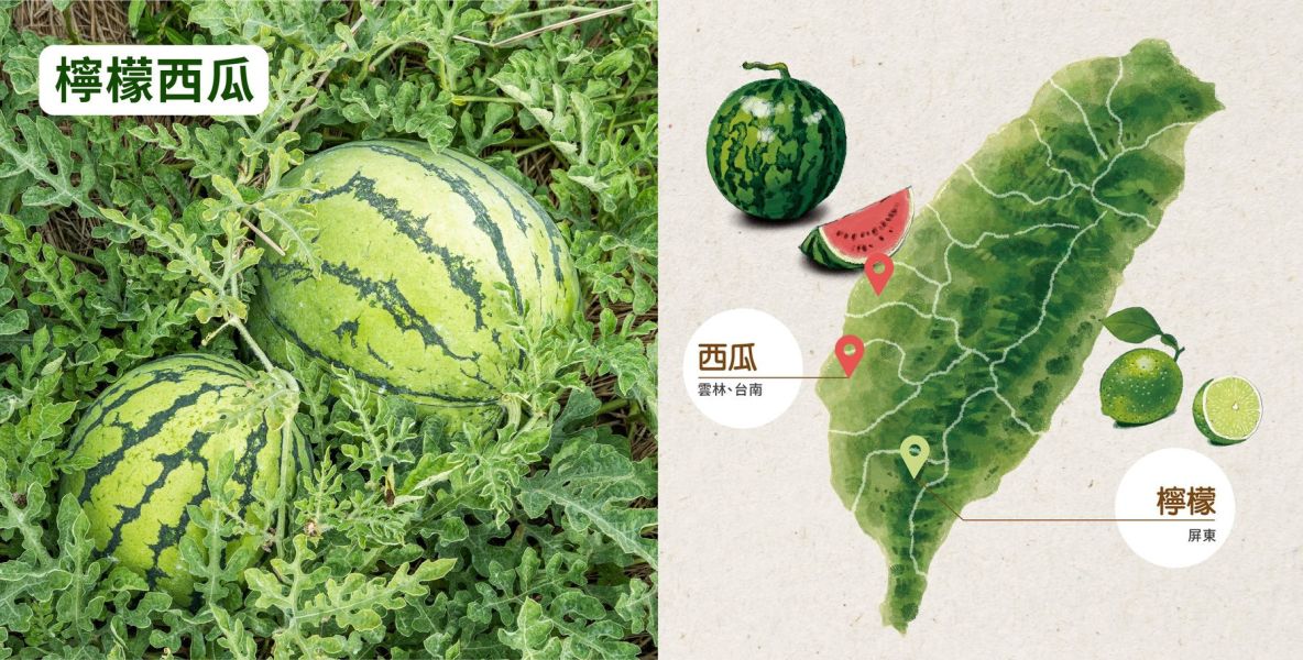 (冷藏)OJUICE/冷壓鮮榨西瓜檸檬綜合果汁/300ml OJUICE,西瓜,檸檬,維生素C,膳食纖維