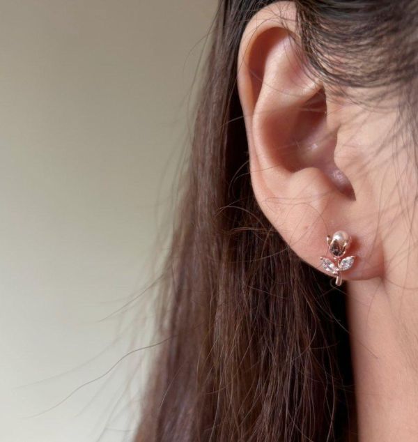 氣質玫瑰花小小耳環2色 氣質玫瑰花小小耳環2色
氣質玫瑰花小小耳環2色
耳環
髮飾
手鍊
戒指
純銀飾品
珍珠耳環
三麗鷗代購
飾品店