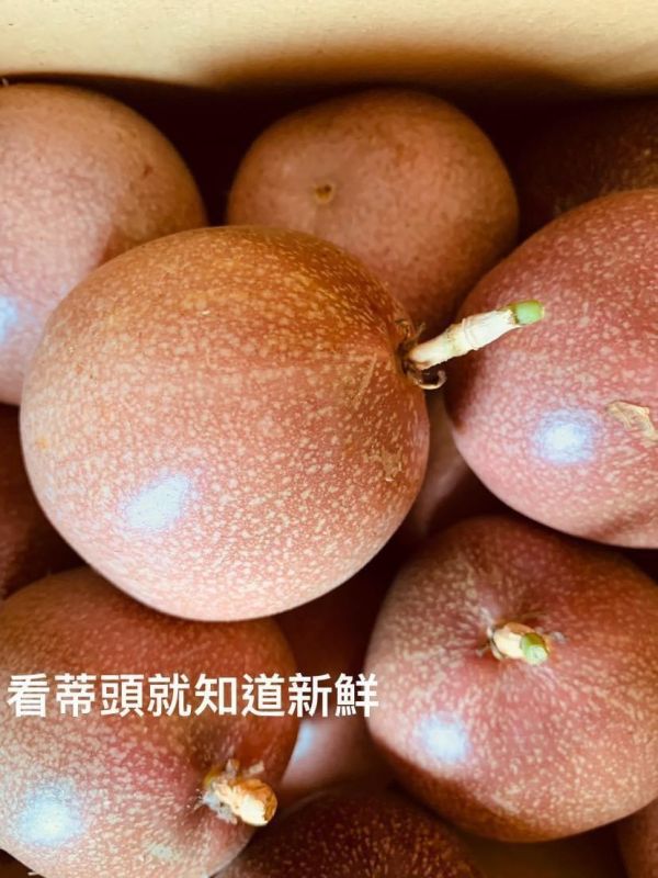 《溫室》梅子(茶香)百香果(一箱5台斤) 