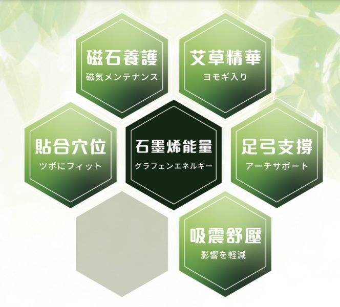 安德森保羅-石墨烯艾草磁石鞋墊 
