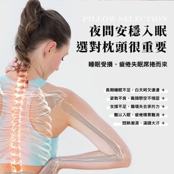 安德森保羅-鍺石墨烯 冰晶蝶形好眠枕 