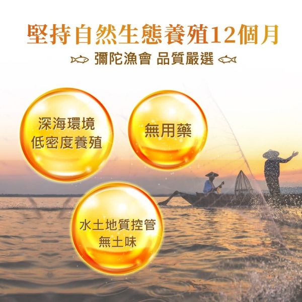 華陀扶元堂古傳滴魚精 