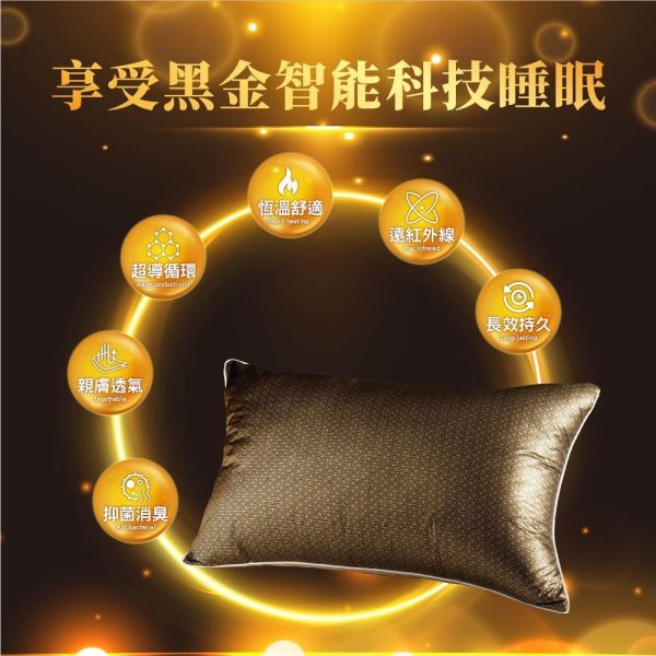 安德森保羅-石墨烯黑金 遠紅外線絲絨枕(一組2顆) 