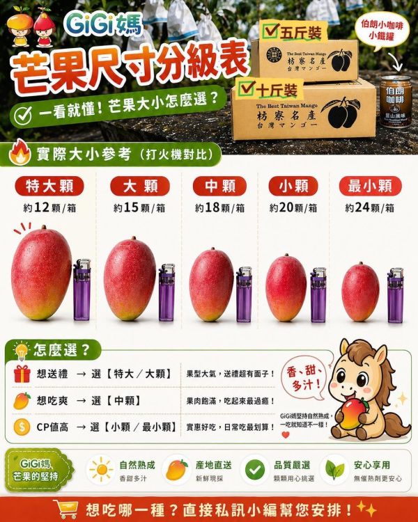 愛文芒果 