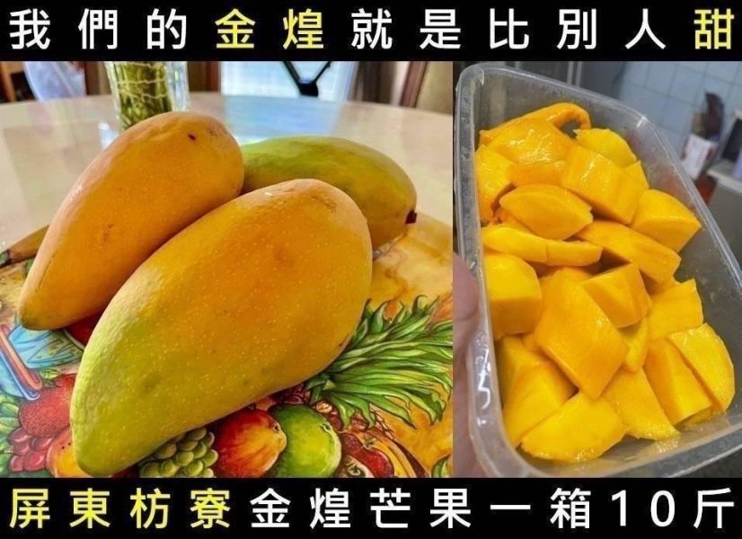 屏東枋寮金煌芒果10斤裝 