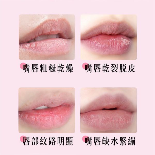 安德森保羅-玻尿酸護唇膏(一組3支) 