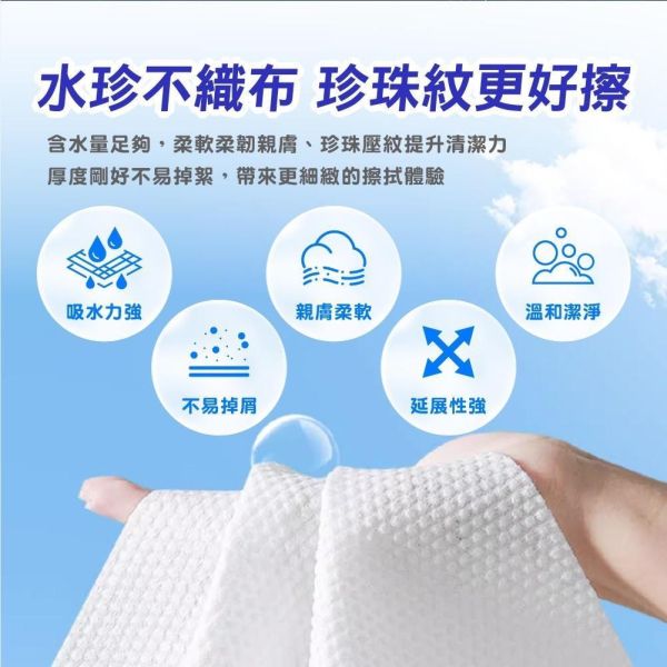 安德森保羅-量子能量純水濕紙巾(一箱48包) 