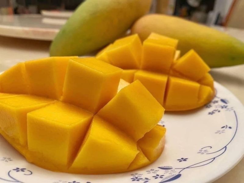 屏東枋寮金煌芒果10斤裝 