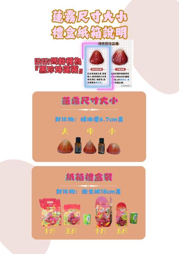 屏東枋寮黑珍珠蓮霧 