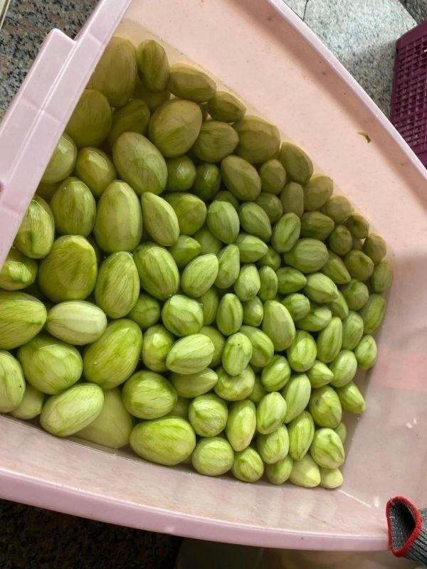 古早味情人果芒果青(一組6瓶) 