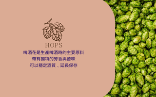 台酒生技｜啤酒花植萃洗髮系列(一組2瓶) 