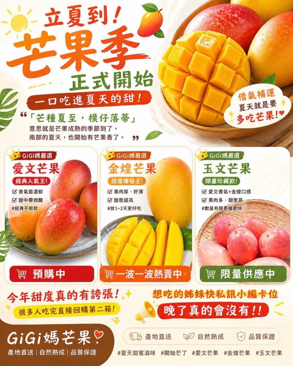愛文芒果 