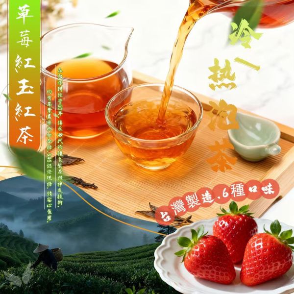 茶心果香養生冷熱飲茶包 