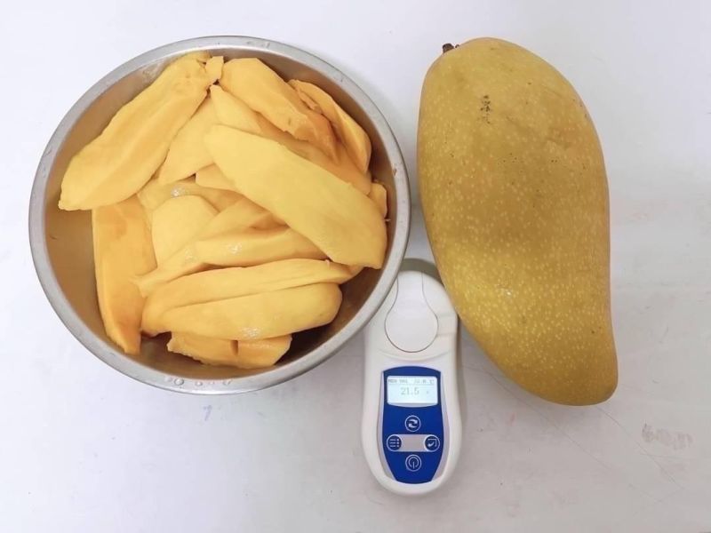 屏東枋寮金煌芒果10斤裝 