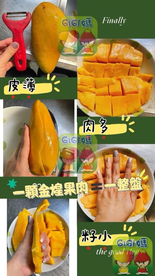 屏東枋寮金煌芒果10斤裝 